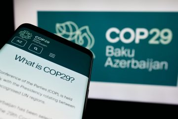 COP29が示す未来への道標