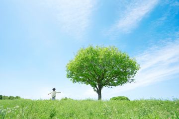 日本の脱炭素や気候変動適応の取組の今 日本の脱炭素や気候変動適応の取組の今